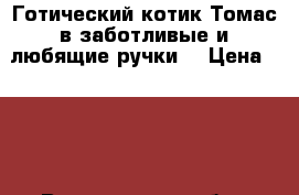 Готический котик Томас в заботливые и любящие ручки! › Цена ­ 100 - Воронежская обл., Воронеж г. Животные и растения » Кошки   . Воронежская обл.